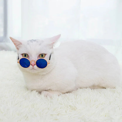 Cat Sunglasses Summer Outdoor Puppy UV Protection Sunglasses Dolls Sun Glasses Small Dog Cosplay Photo Props Cute Pet Sunglasses JJ Pets Supplies Store