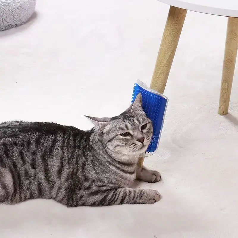 Cat Massage Tool Pet Hair Removal Massage Comb Wall Corner Self Cleaning Rubbing Brush Cats Toys Pet Beauty Supplies N0.1 Dream House Store