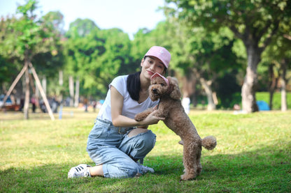Adjustable Pet Dog Travel Cute Baseball Hat Sun Cap Visor Hat with Ear Holes Outdoor Sport Pet Supplies Xiao Hei Store