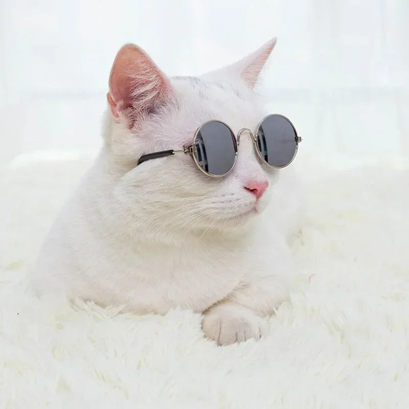 Cat Sunglasses Summer Outdoor Puppy UV Protection Sunglasses Dolls Sun Glasses Small Dog Cosplay Photo Props Cute Pet Sunglasses JJ Pets Supplies Store