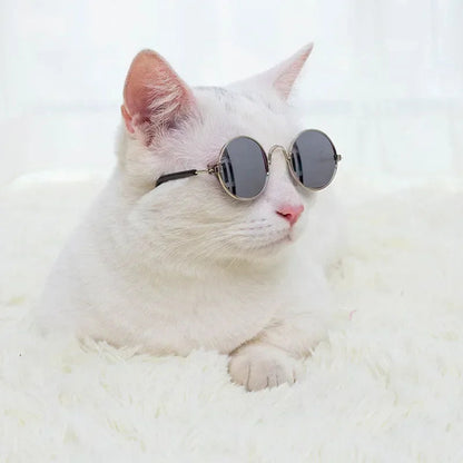Cat Sunglasses Summer Outdoor Puppy UV Protection Sunglasses Dolls Sun Glasses Small Dog Cosplay Photo Props Cute Pet Sunglasses JJ Pets Supplies Store