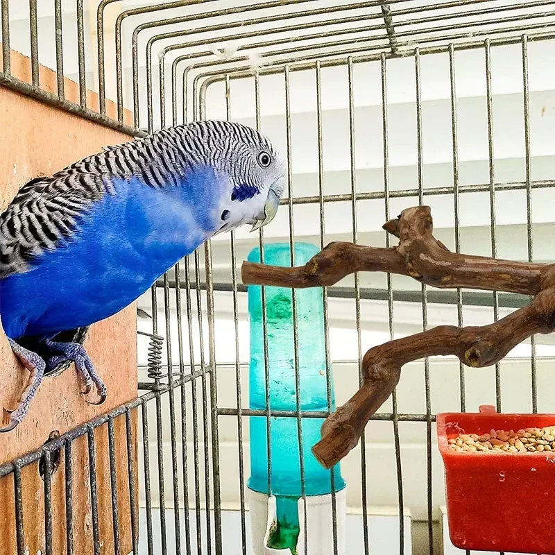 Pet Standing Stick Wild Grape Wood Pole Parrot Cockatiel Parakeet Station Board Bite Claw Grinding Toy Bird Cage Accessories Idestake Official Store