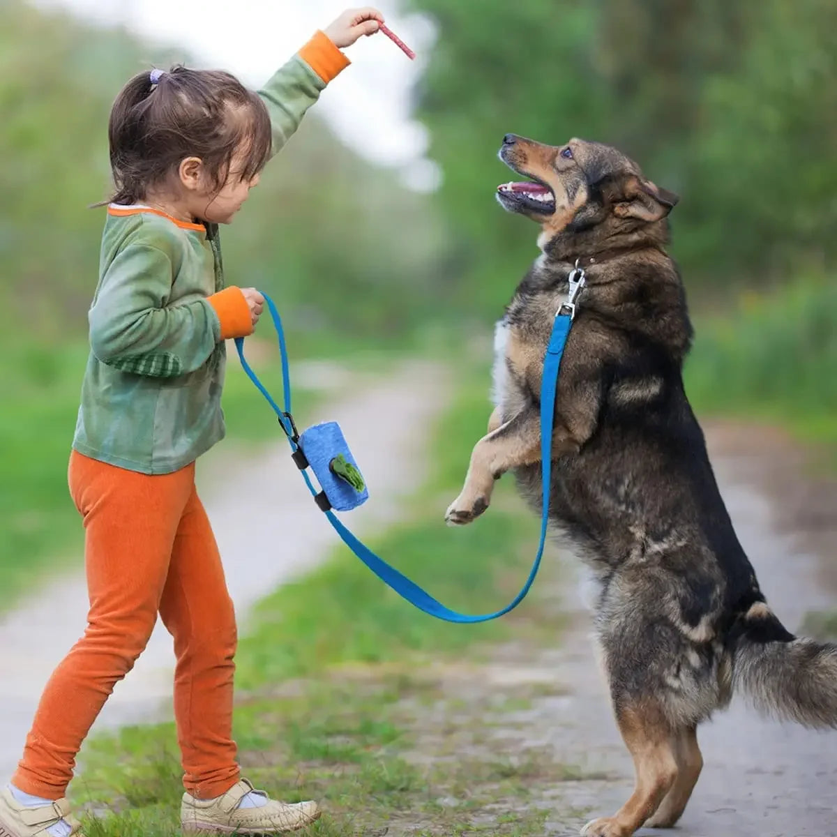 Pet Dog Poop Bag Dispenser Storage Bag Products Pet Waste Bags Carrier Dog Walking Accessories  Cleaning Supplies Bobit Store