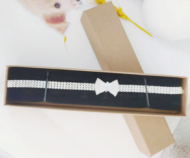 Zircon Bow Tie Chihuahua Dog Collar Rose Gold Lobster Button Cat Necklace With Package Box Adjustable All Season Pet Accessories Meow Kitten Store