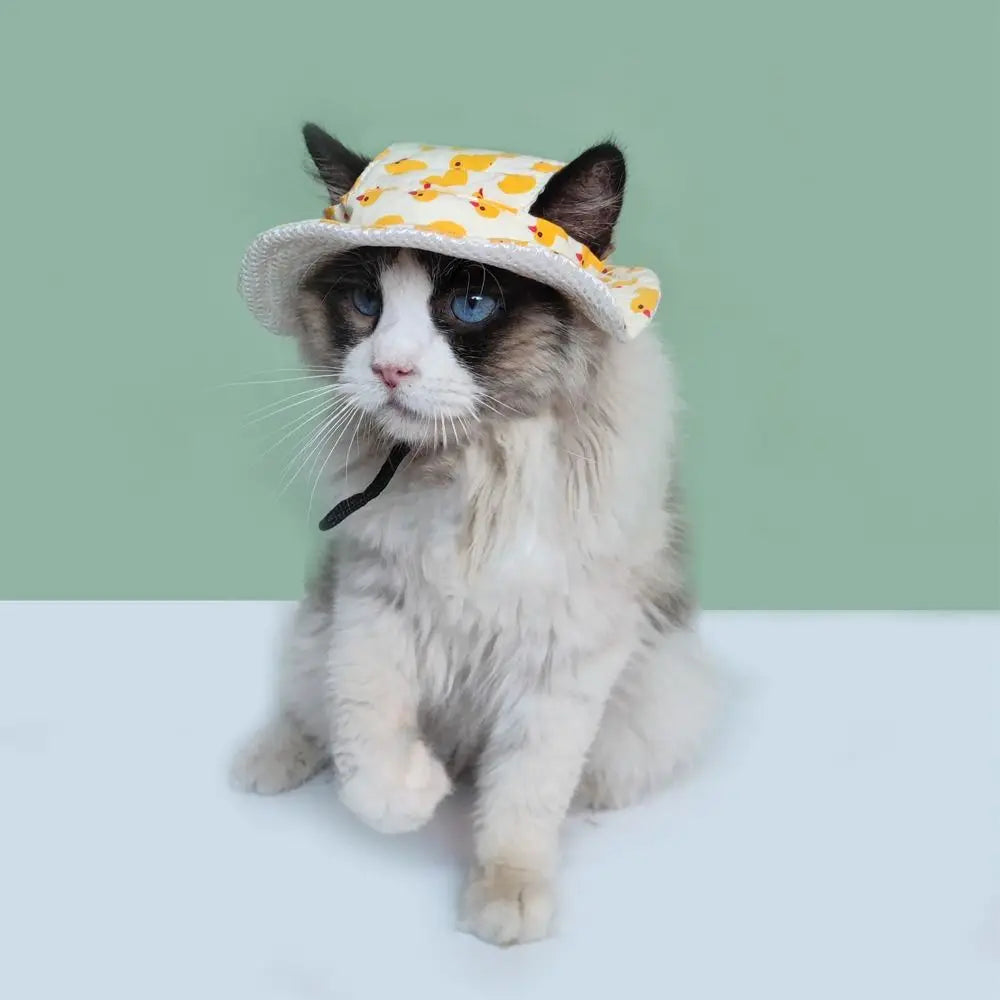 High-quality Adjustable Pet Sun Hat Cat Dog Breathable Dog Sunshade Hats Outdoor Travel Pet Fisherman Hat - My Pet Store