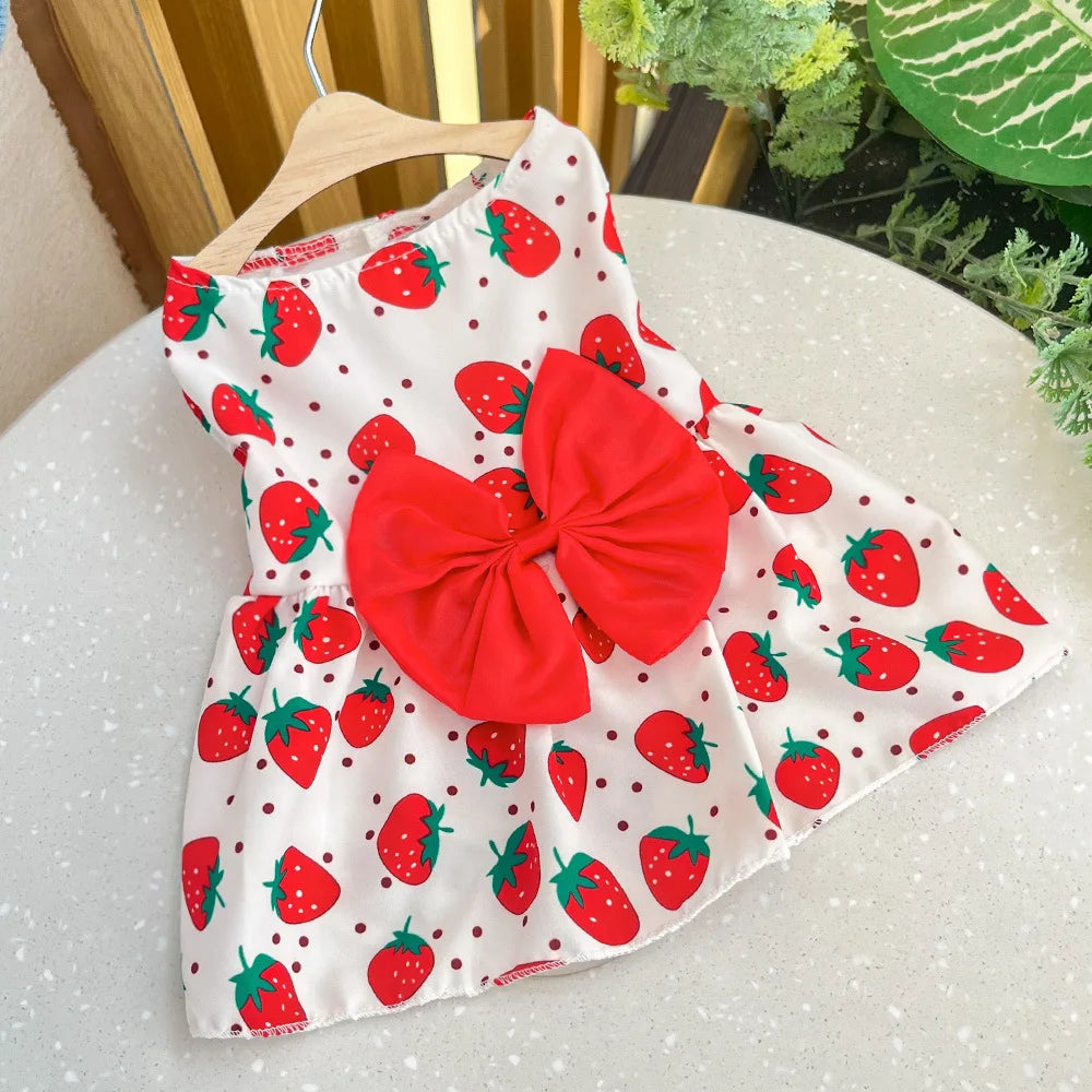 Dog Princess Dress Spring Summer Kitten Pet Skirt Cute Dog Dress Bow Lace for Small Medium Puppy Poodle Chihuahua Simbuid Official Store