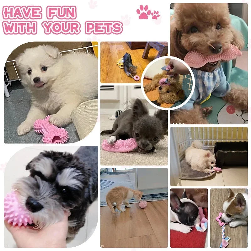 Dog Chew Toys for Cleaning Teeth Pink Soft Rubber Bone Funny Ball Interactive Donut Treat Set for Small Medium Dogs Pet Gifts Shop1103191158 Store