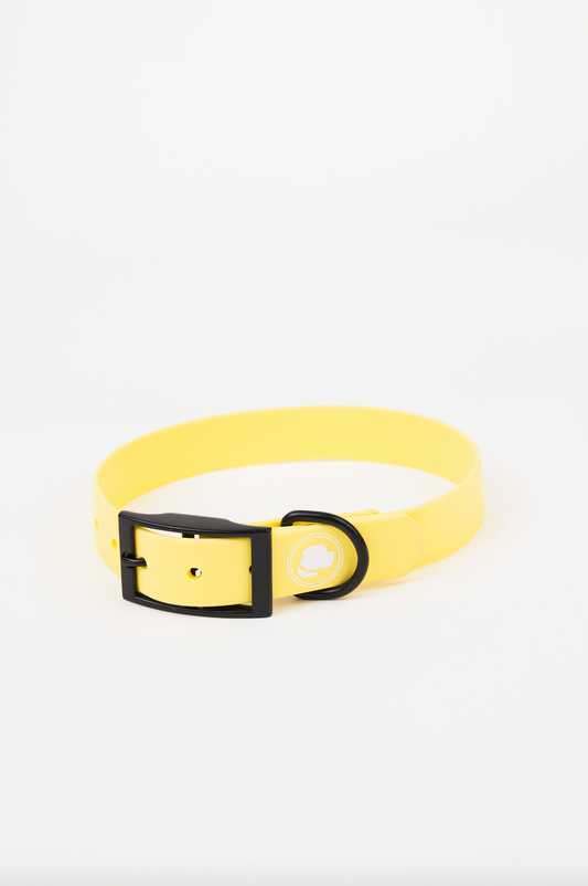 The Modern Dog Company - Daffodil Yellow Collar