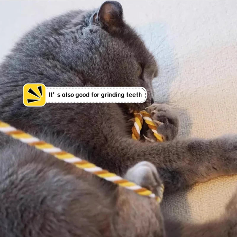 Cat Toy Interactive Teasing Rod with Rope for Cats to Chew and Chase Kitten Teaser Toy Pet Cats Wand Toys Stick Toy TAOZI Dropshipping Service Store
