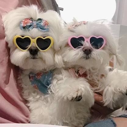 для собак Dog Glasses Pet Heart Glasses Cat Accessories Puppy Photos Tools Decorations for Dog Summer Party Eyewear Glasses CYGJ Pet Store