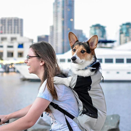 Strong Nylon Dog Carrier Backpack for Small Medium Dogs High Quality Breathable Cycling Backpack for Outdoor Travel Pet Supplies TNINGPET Store
