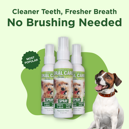 Adore Pet Oral Care Spray