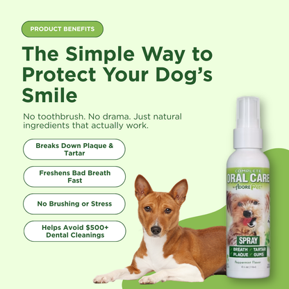 Adore Pet Oral Care Spray