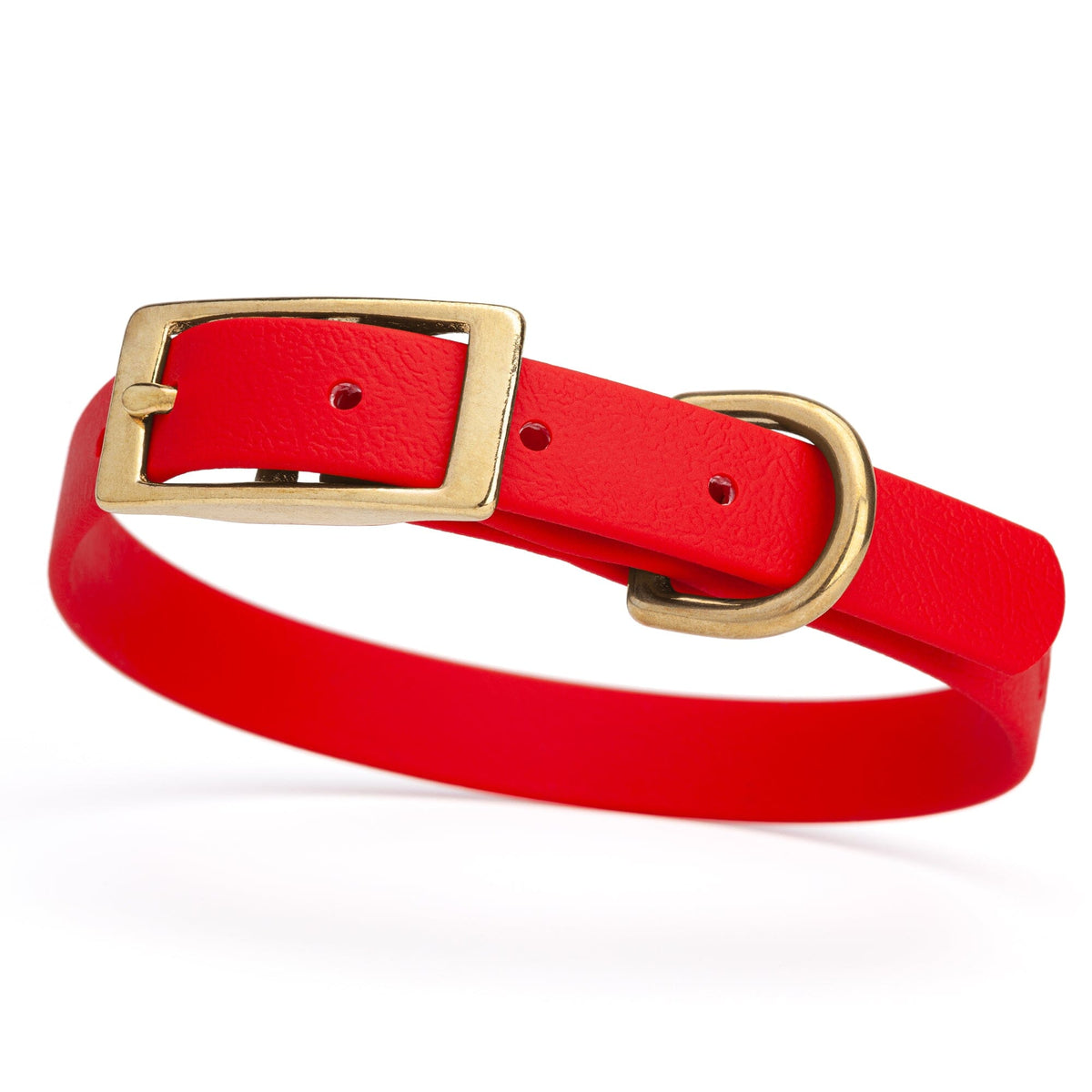 BioThane Waterproof Dog Collar - XS: L 12"-15" x W 5/8" - Black OR Brass Hardware