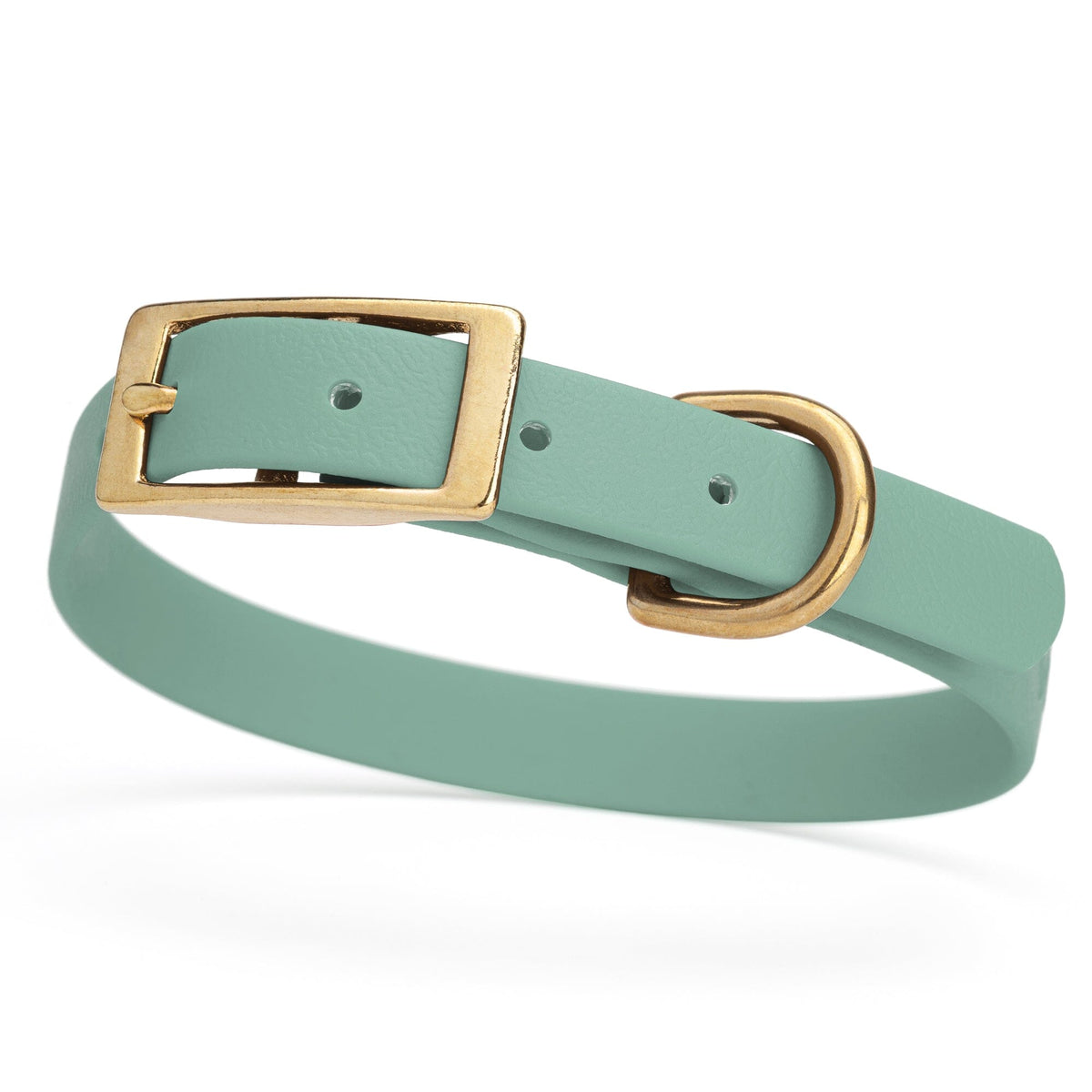 BioThane Waterproof Dog Collar - XS: L 12"-15" x W 5/8" - Black OR Brass Hardware