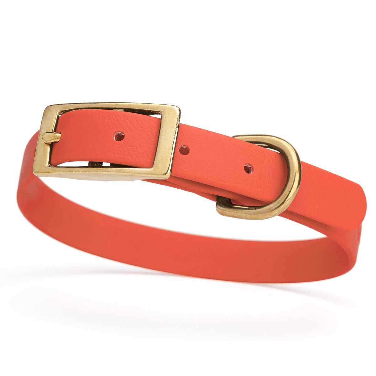 BioThane Waterproof Dog Collar - XS: L 12"-15" x W 5/8" - Black OR Brass Hardware