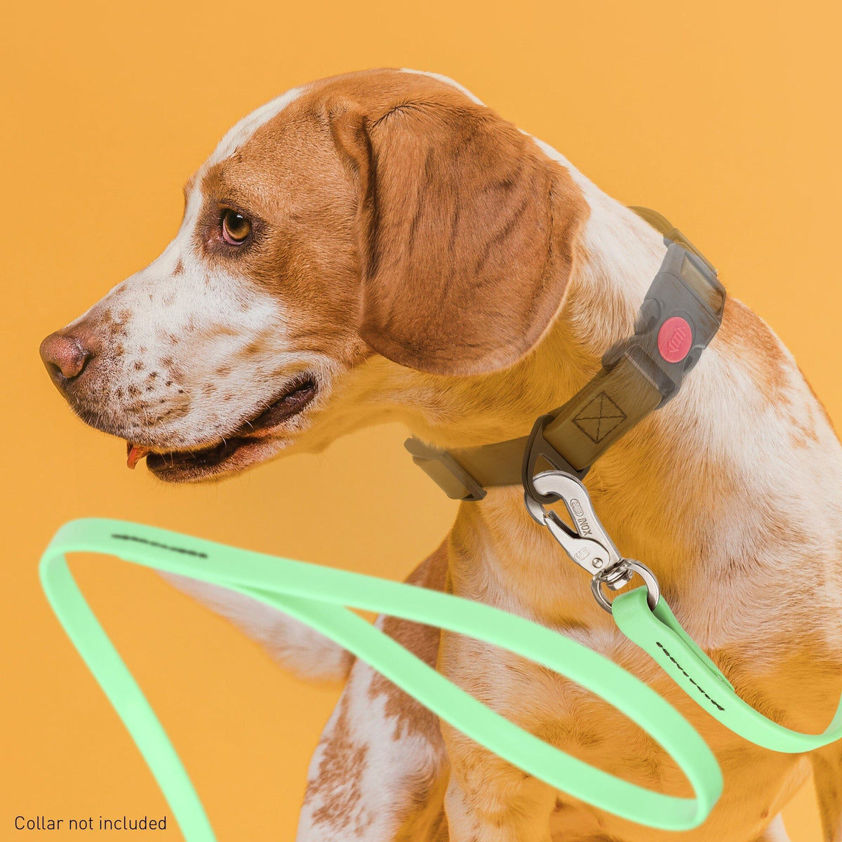 Viper Long Line 20 ft Biothane Dog Lead with SPRENGER Stainless Steel Hook