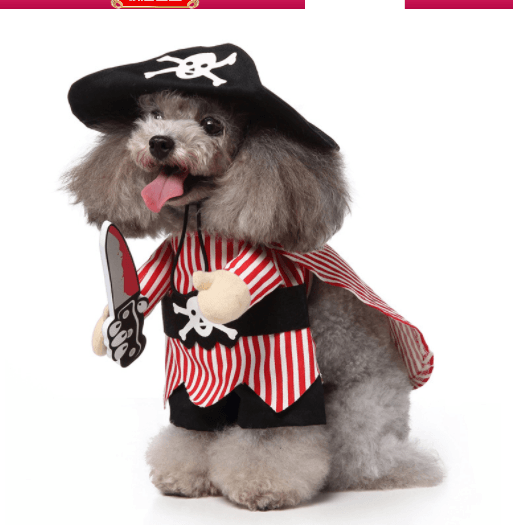 Funny Cosplay Pet Costume Set: Cute Cartoon Dog Outfit For Halloween And Christmas Dress-Up Dog Hugs Cat