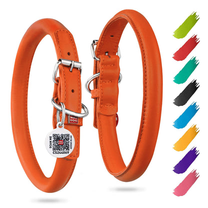 Orange Rolled Leather Dog Collar XSmall Dogs