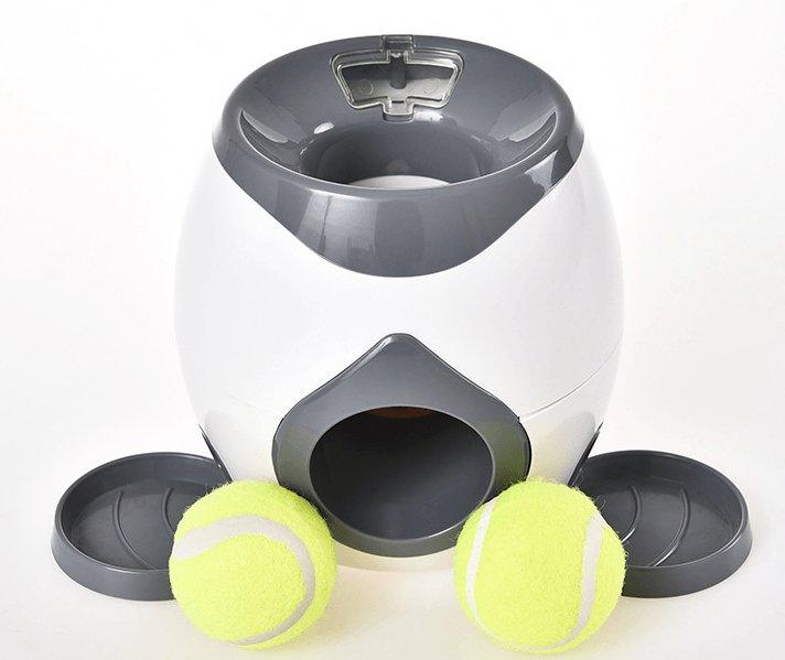 Automatic Pet Training And Feeding System Dog Hugs Cat