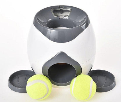 Automatic Pet Training And Feeding System Dog Hugs Cat
