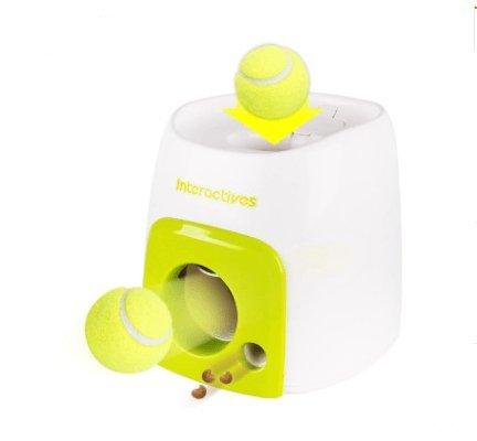 Automatic Pet Training And Feeding System Dog Hugs Cat