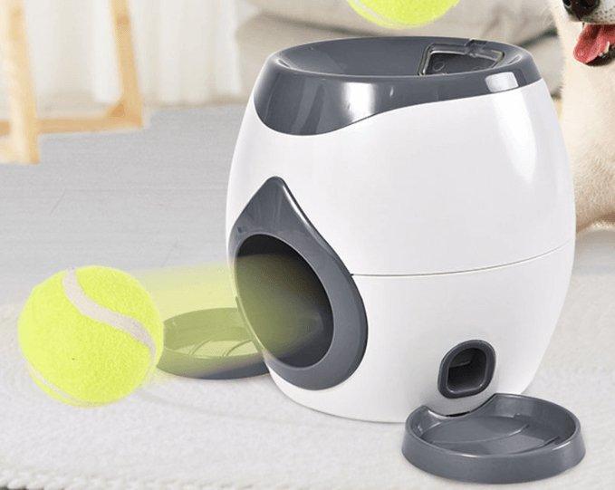 Automatic Pet Training And Feeding System Dog Hugs Cat