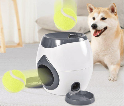 Automatic Pet Training And Feeding System Dog Hugs Cat