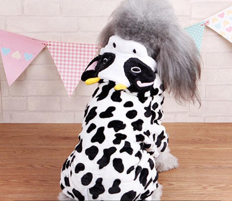 Autumn And Winter Dog Pet Costume Collection: Cozy Coral Fleece Cartoon Style Dog Hugs Cat