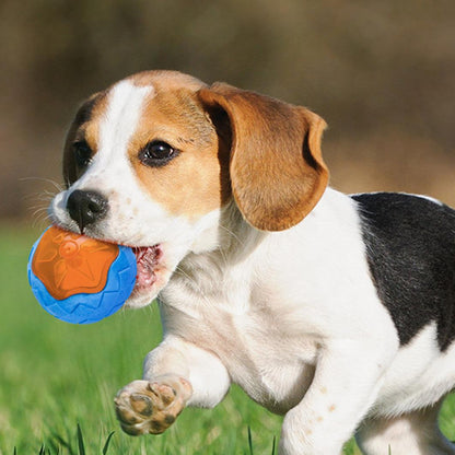 Glowing Audible Dog Toy Ball - Floatable, Teeth-Grinding Pet Toy Dog Hugs Cat