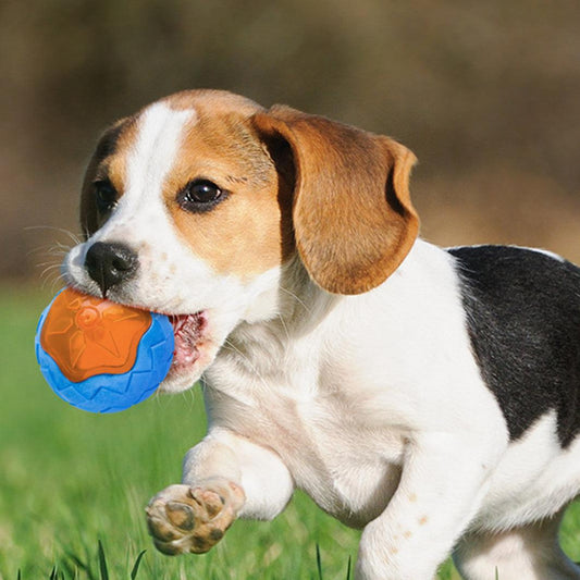 Glowing Audible Dog Toy Ball - Floatable, Teeth-Grinding Pet Toy Dog Hugs Cat