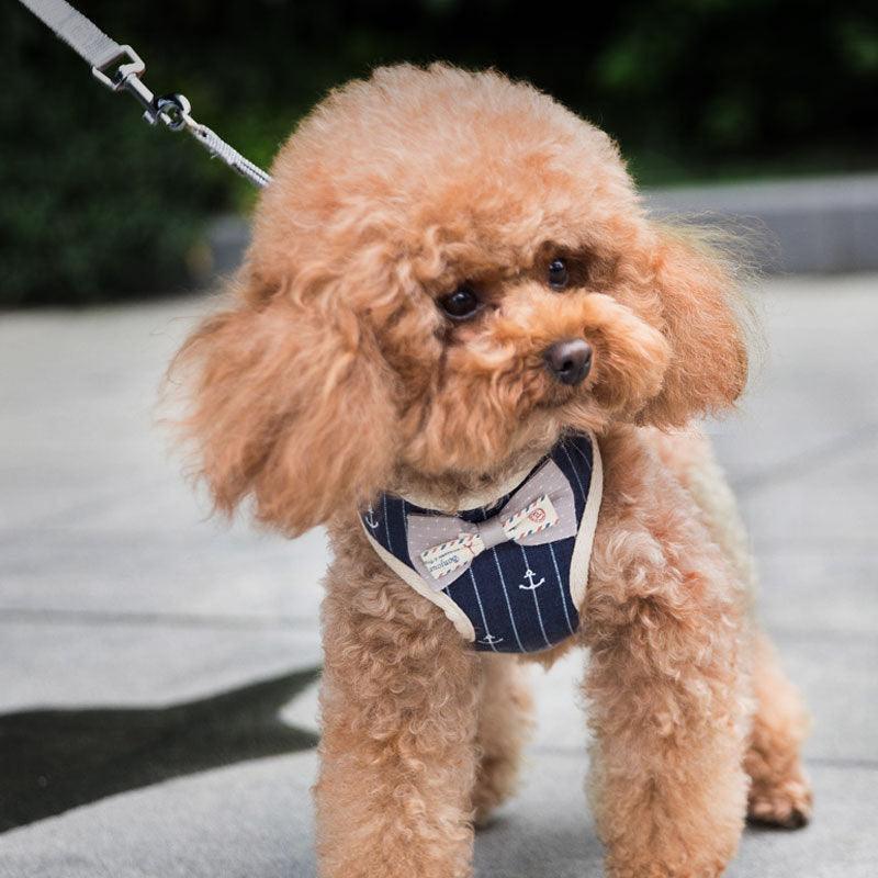 Breathable Mesh Pet Leash For Dogs And Cats Dog Hugs Cat
