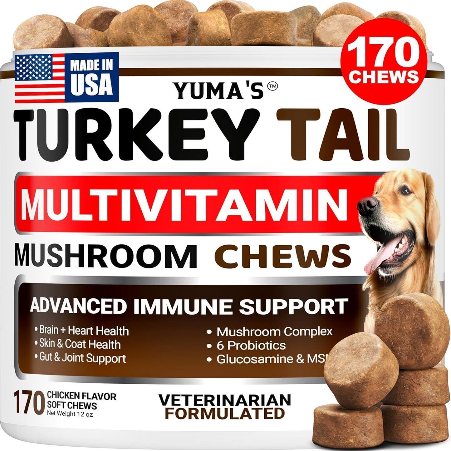Turkey Tail Mushroom Multivitamin for Dogs Immune Support