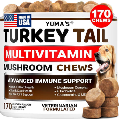 Turkey Tail Mushroom Multivitamin for Dogs Immune Support