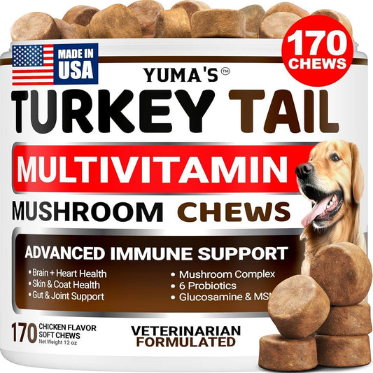 Turkey Tail Mushroom Multivitamin for Dogs Immune Support