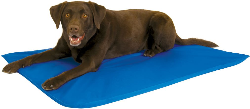 Cooling Dog Bed