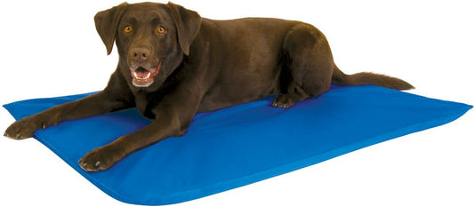 Cooling Dog Bed