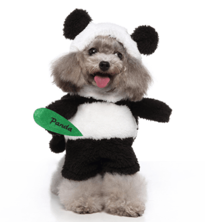Funny Cosplay Pet Costume Set: Cute Cartoon Dog Outfit For Halloween And Christmas Dress-Up Dog Hugs Cat