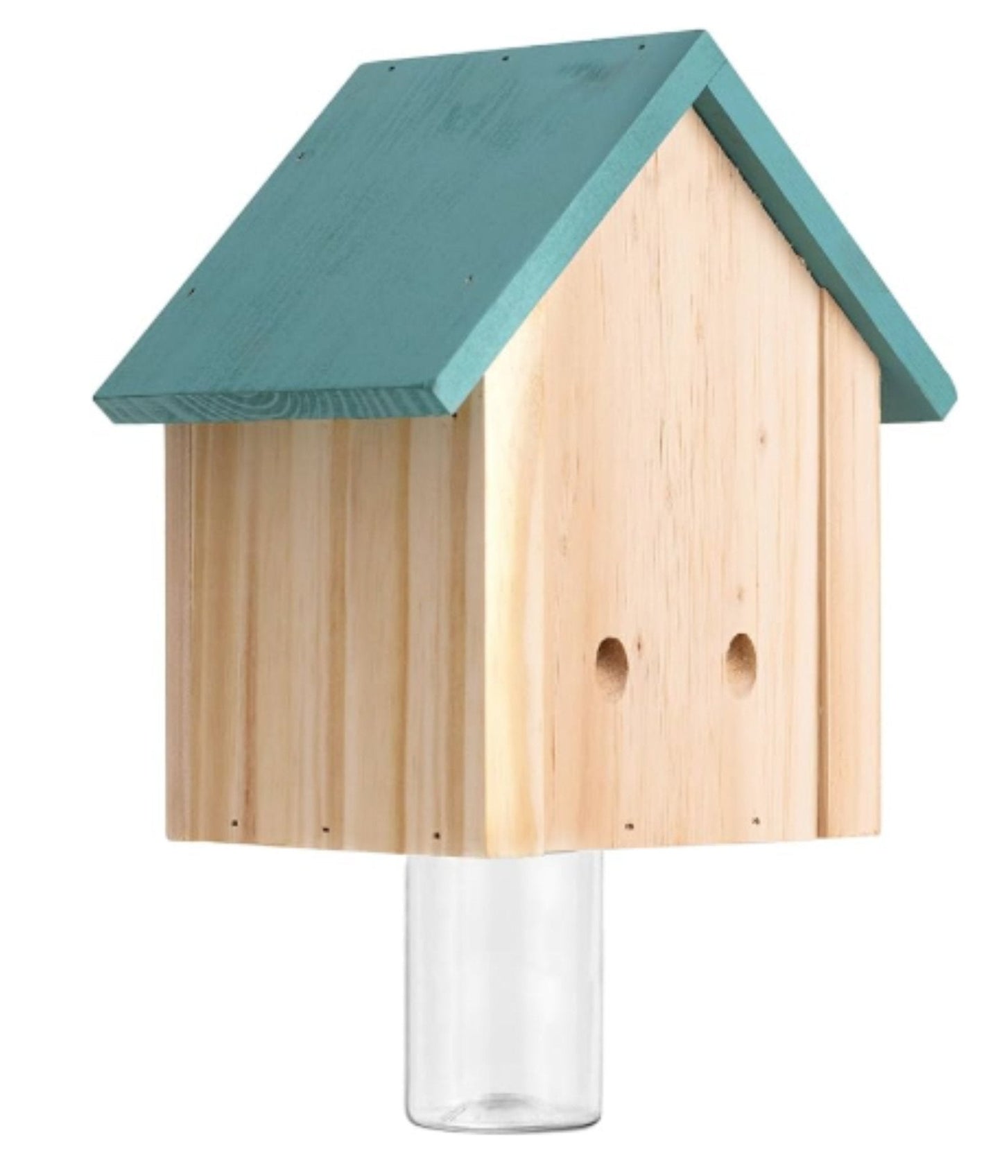 eco-friendly carpenter bee traps