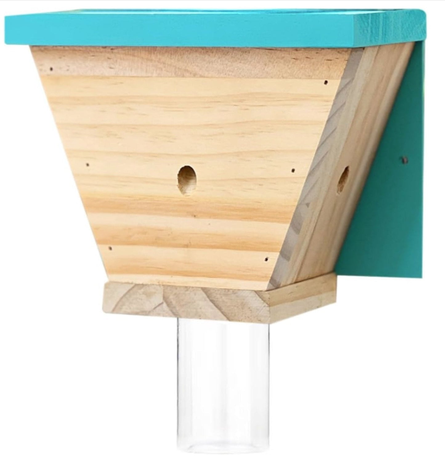 eco-friendly carpenter bee traps