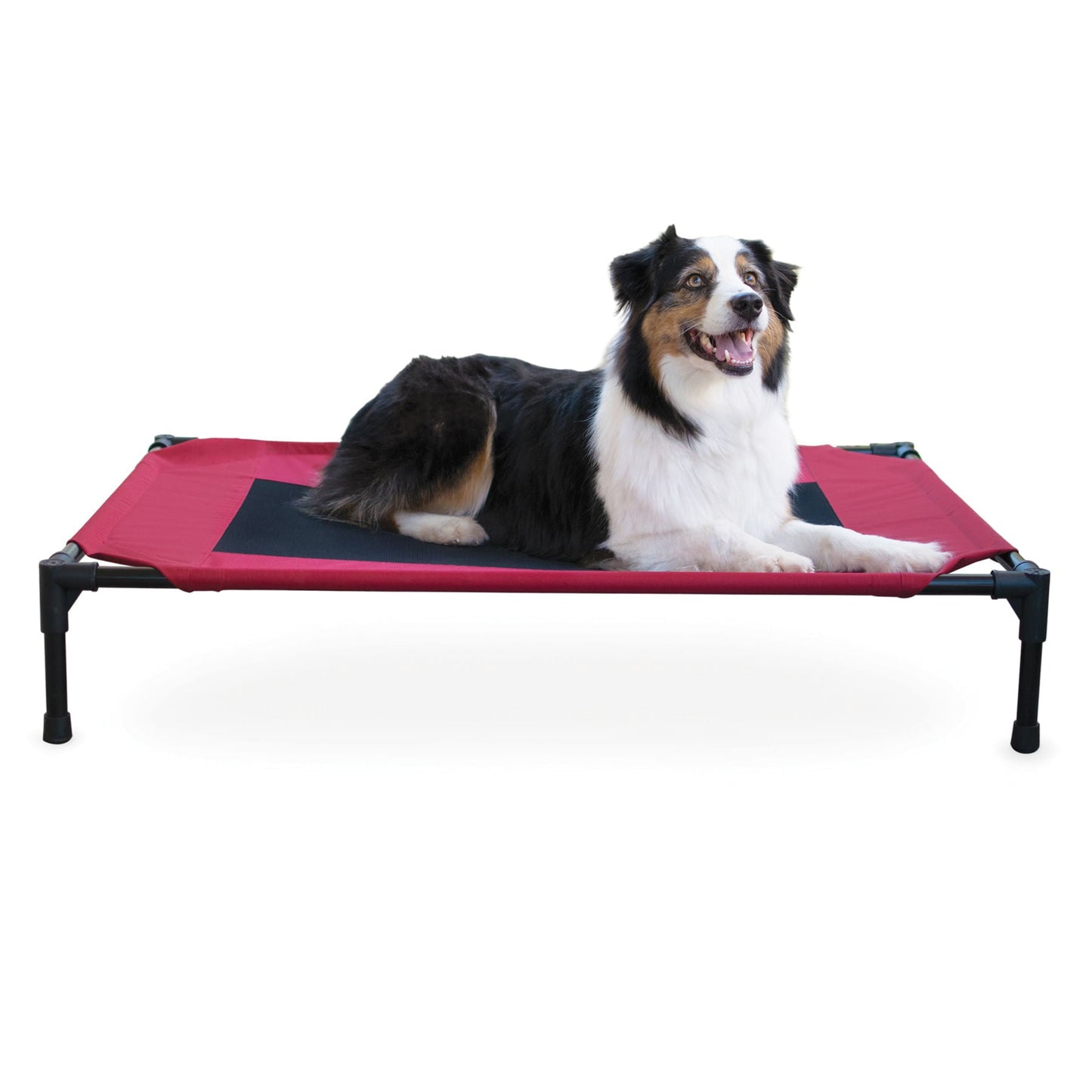 K&H Elevated Dog Bed