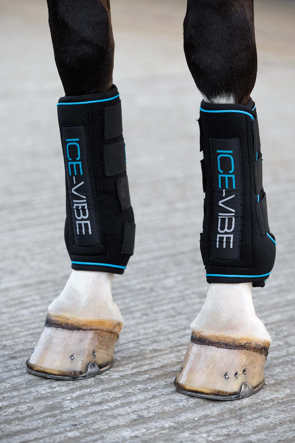 Ice Vibe Therapy Boot for Horses