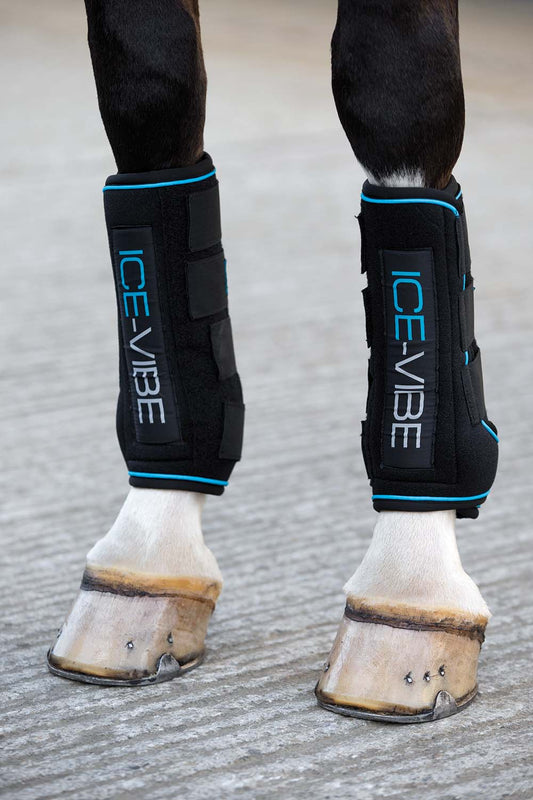 Ice Vibe Therapy Boot for Horses