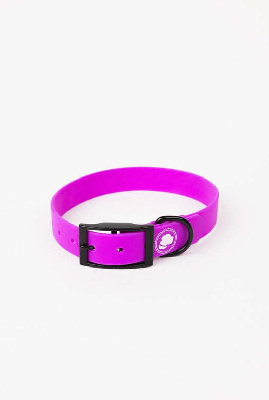 The Modern Dog Company - Electric Fuchsia Collar