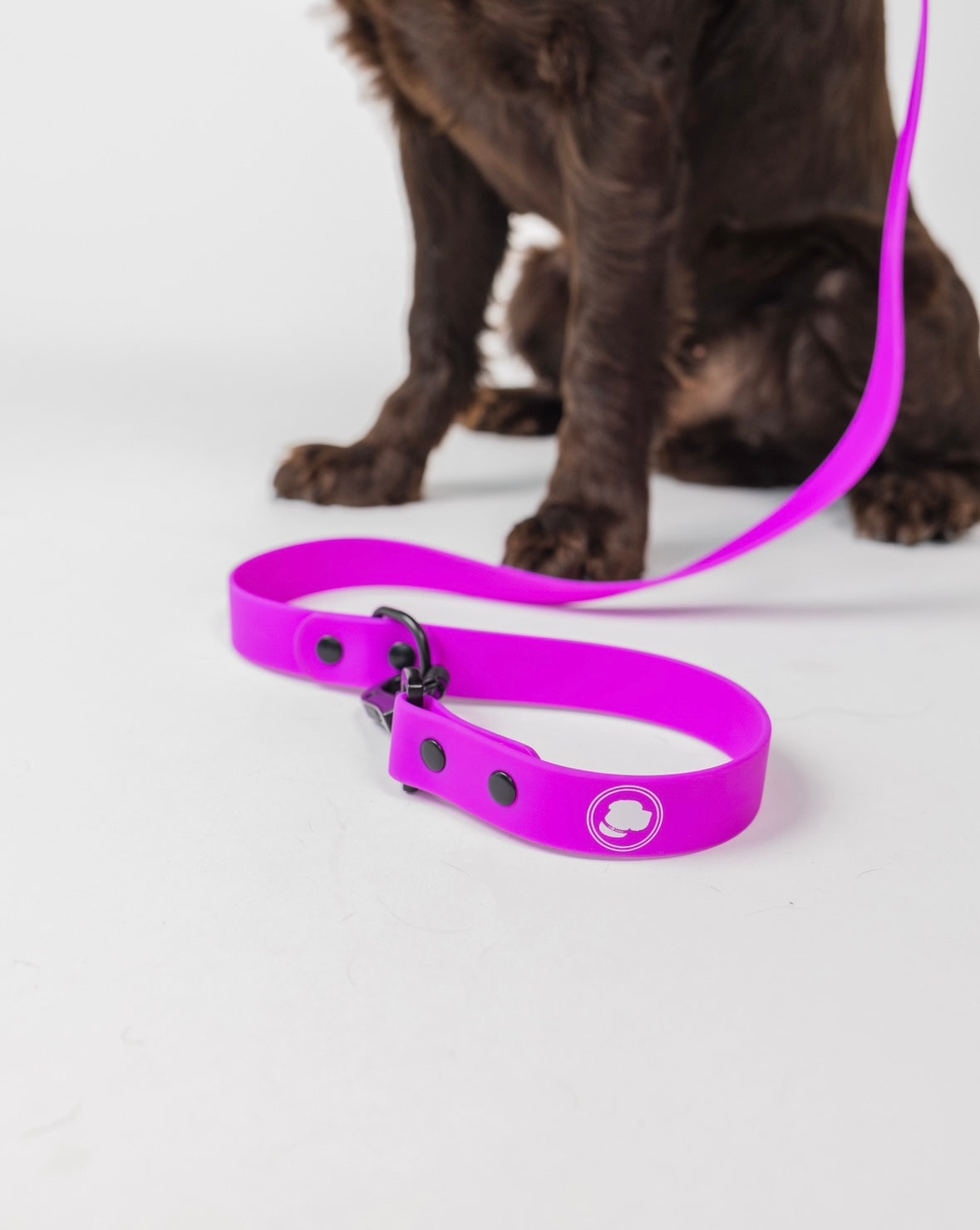 The Modern Dog Company - Electric Fuchsia Leash