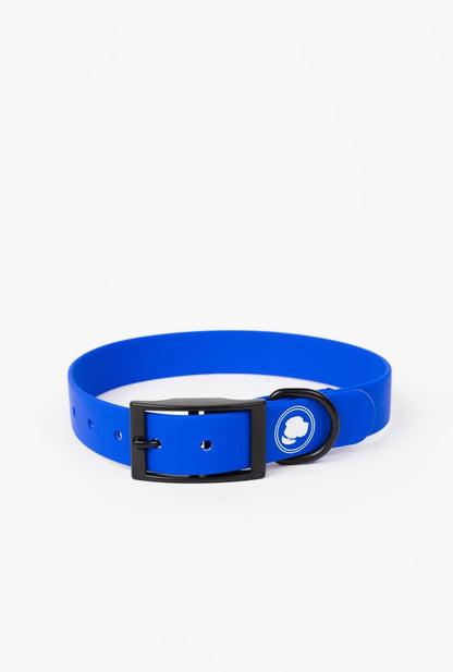 The Modern Dog Company - Royal Blue Collar