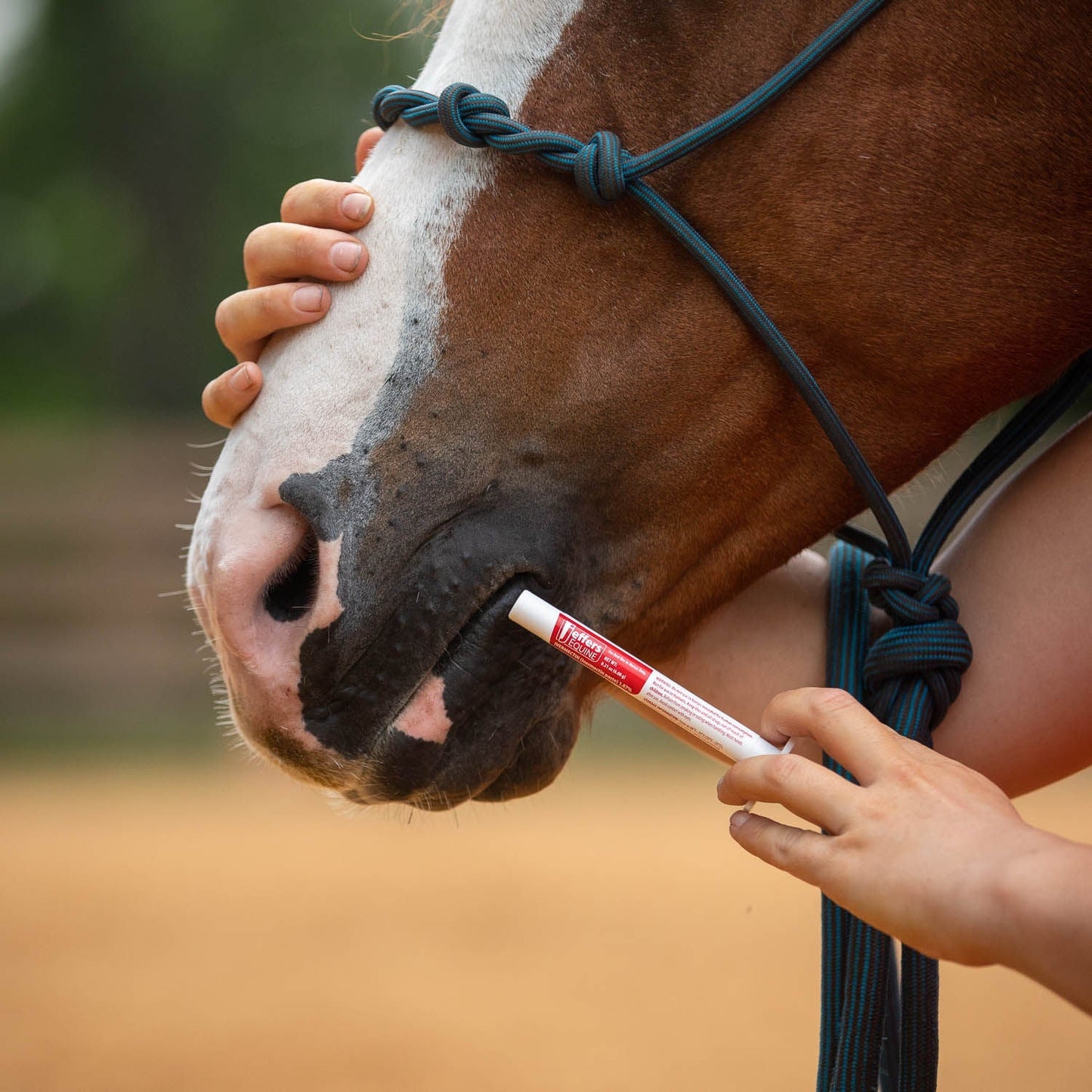 ivermectin horse dewormer gel