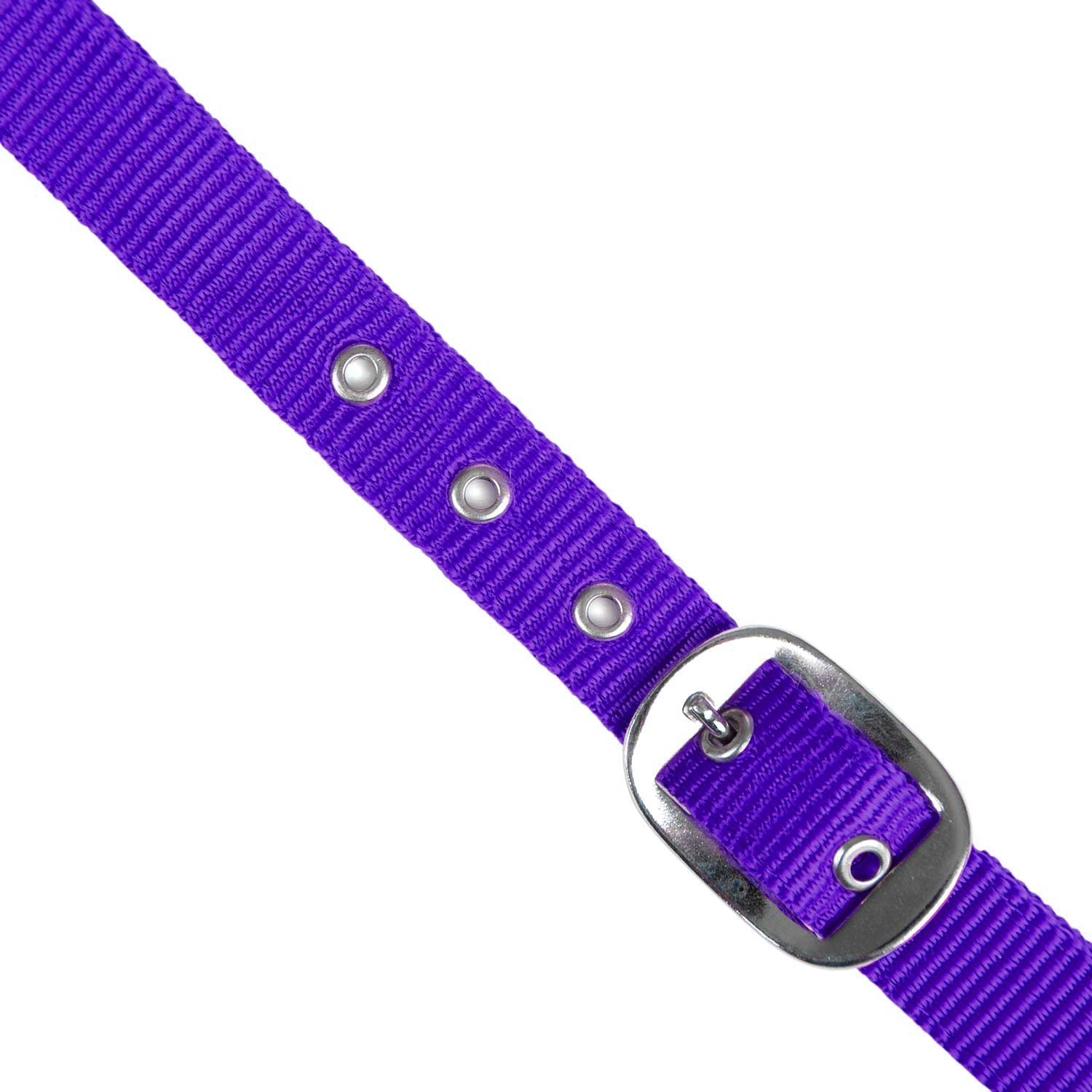 Jeffers Adjustable Nylon Horse Halter