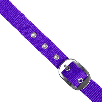 Jeffers Adjustable Nylon Horse Halter
