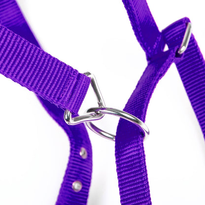 Jeffers Adjustable Nylon Horse Halter